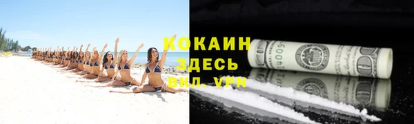PSILOCYBIN Михайловка