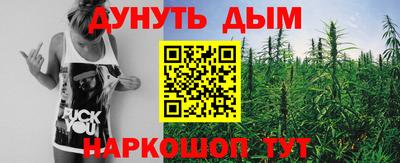 гидропоника Дубна