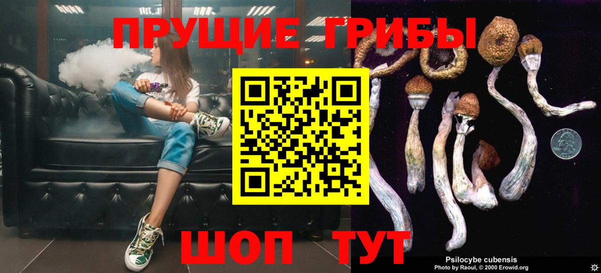 где можно купить   Ростов-на-Дону  Галлюциногенные грибы Cubensis 